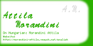 attila morandini business card